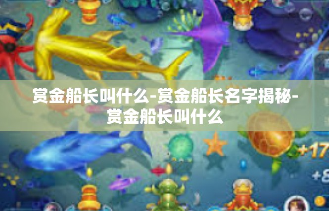 赏金船长叫什么-赏金船长名字揭秘-赏金船长叫什么