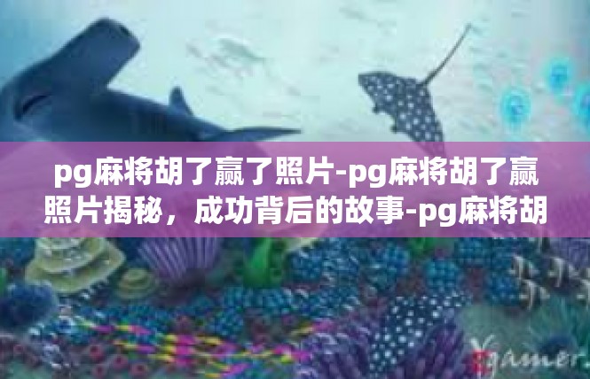 pg麻将胡了赢了照片-pg麻将胡了赢照片揭秘，成功背后的故事-pg麻将胡了赢了照片