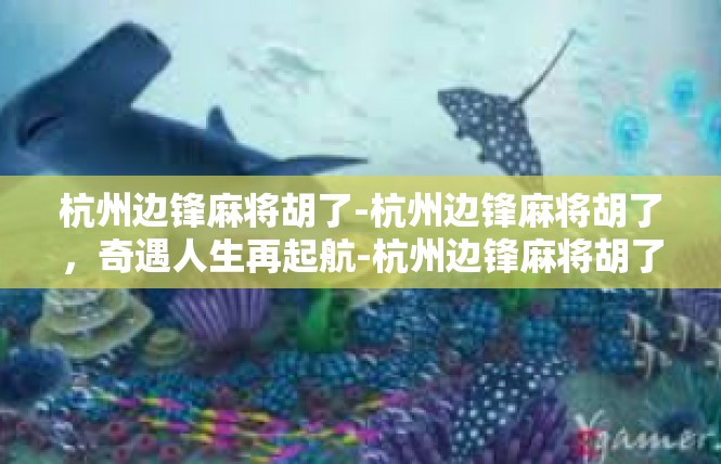 杭州边锋麻将胡了-杭州边锋麻将胡了，奇遇人生再起航-杭州边锋麻将胡了