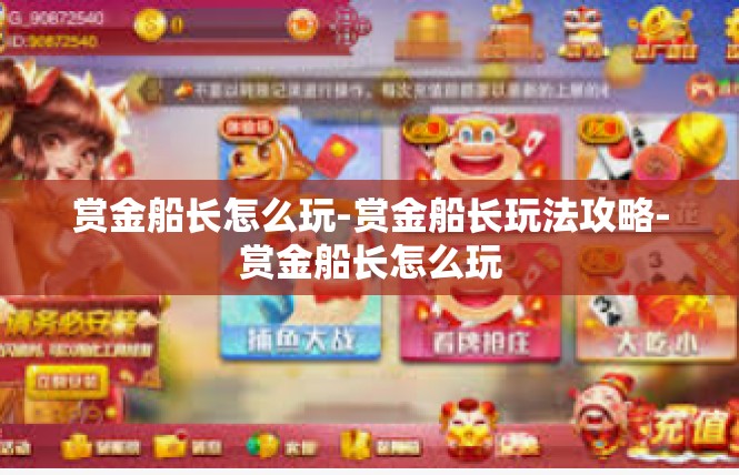 赏金船长怎么玩-赏金船长玩法攻略-赏金船长怎么玩