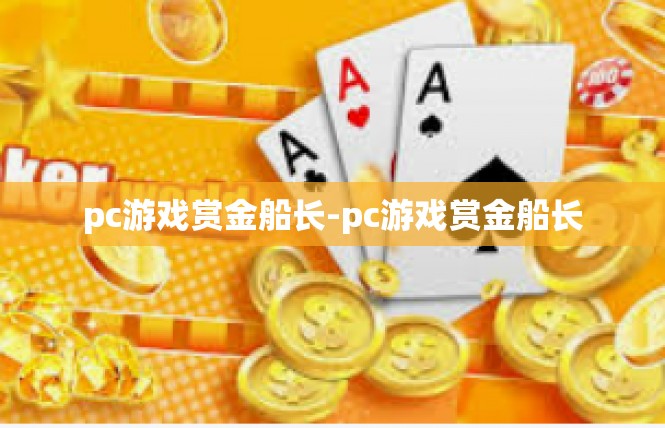 pc游戏赏金船长-pc游戏赏金船长