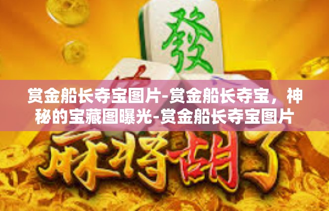 赏金船长夺宝图片-赏金船长夺宝，神秘的宝藏图曝光-赏金船长夺宝图片